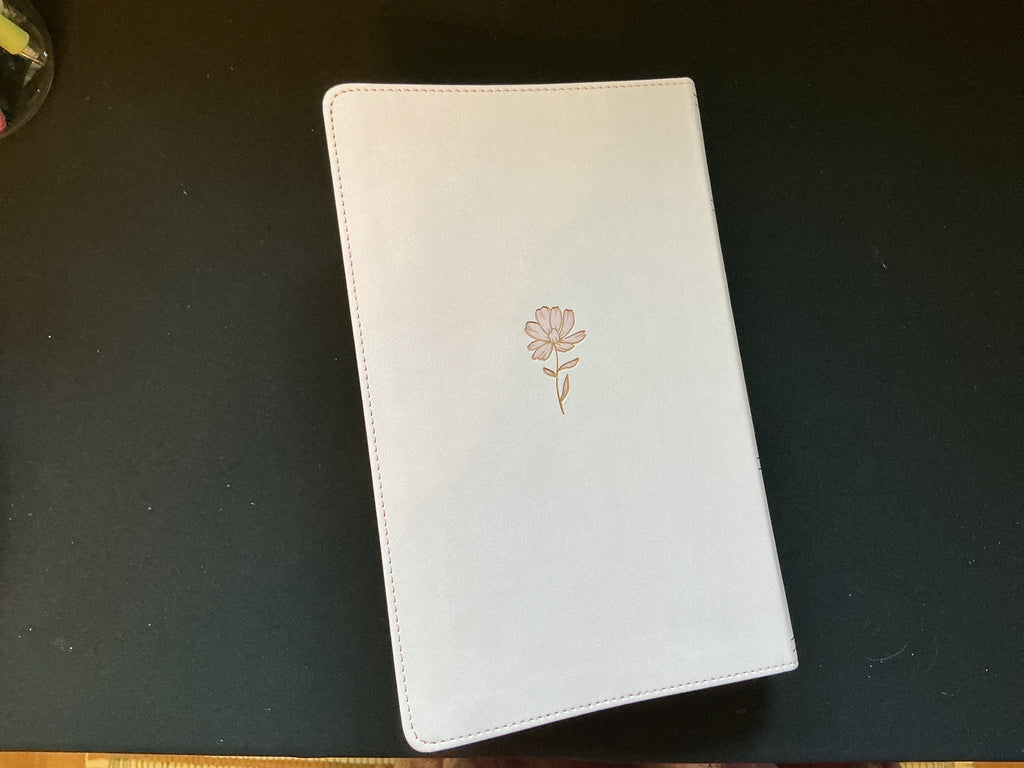 Giant Print Pale Pink KJV Bible
