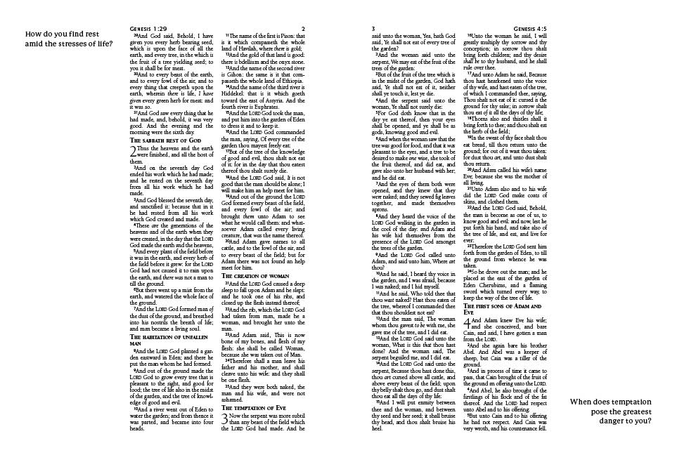 Brown Journaling Bible with Prompts