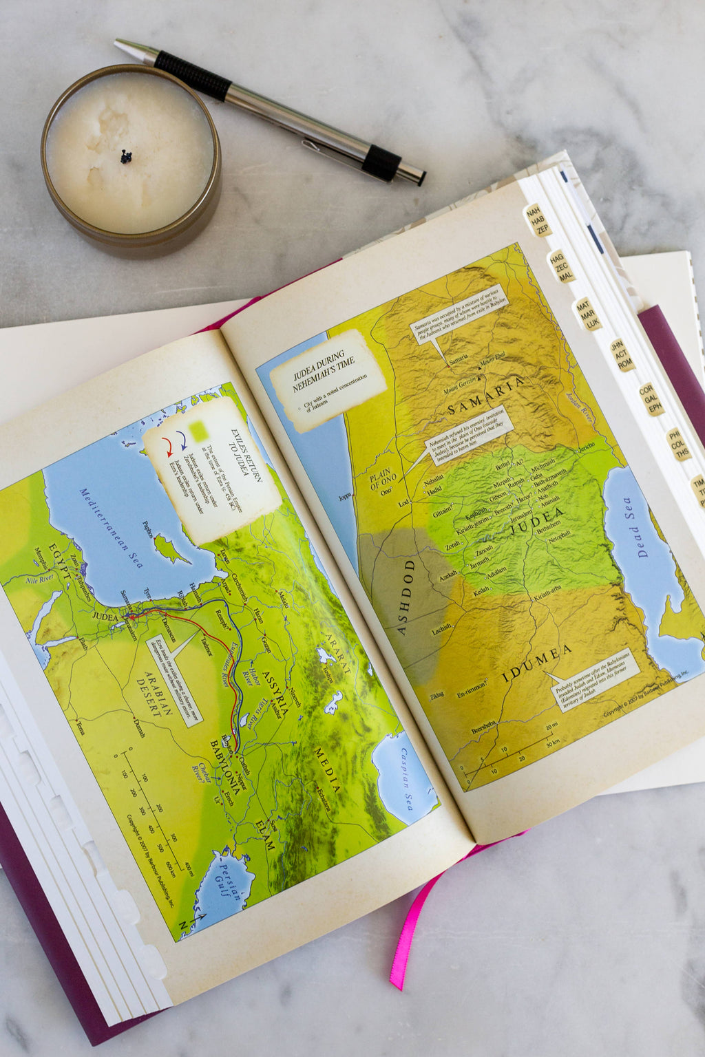 KJV Study Bible: Atlas Edition [Wildflower Bouquet]