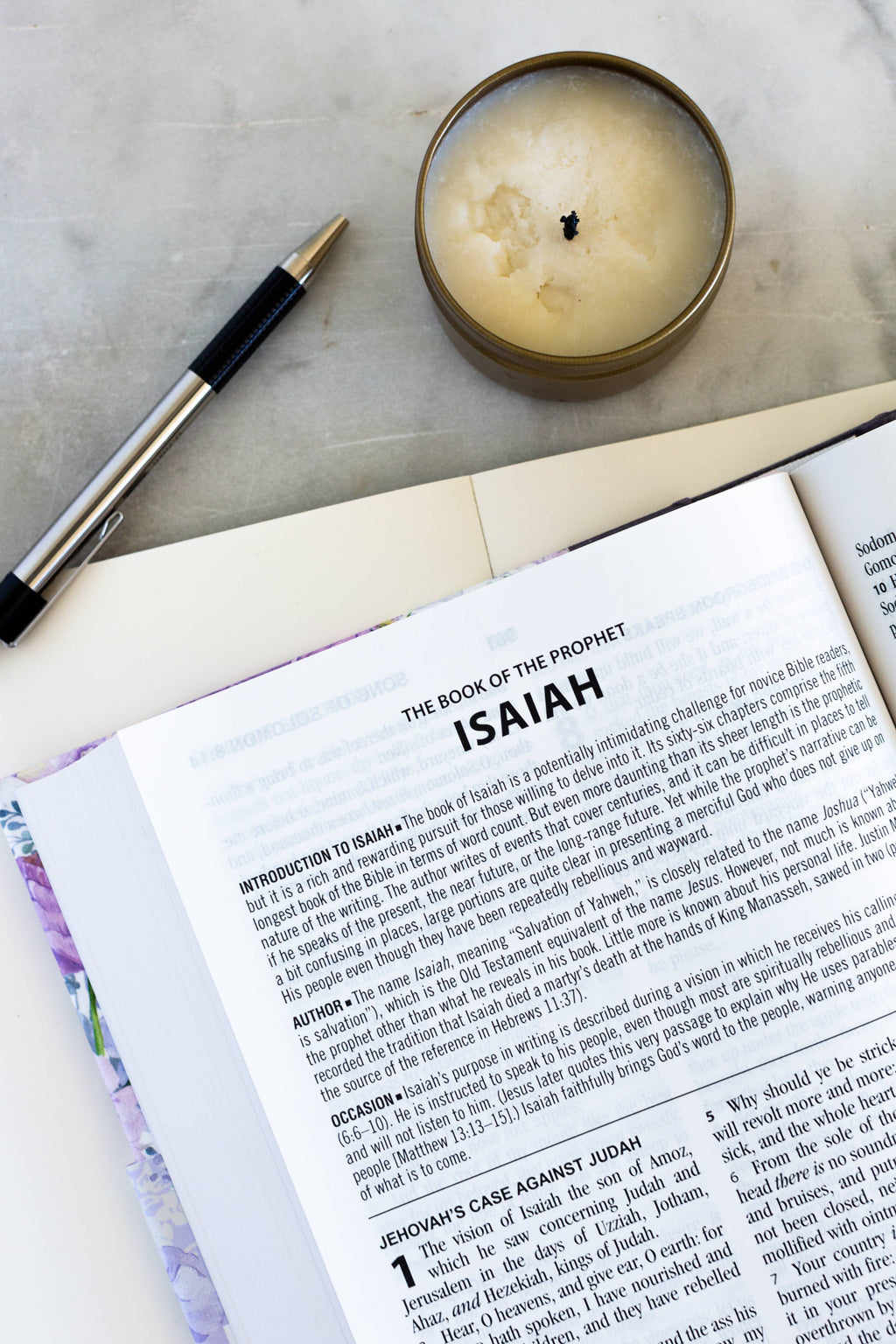 Lilac Study Bible