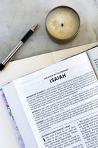Lilac Study Bible