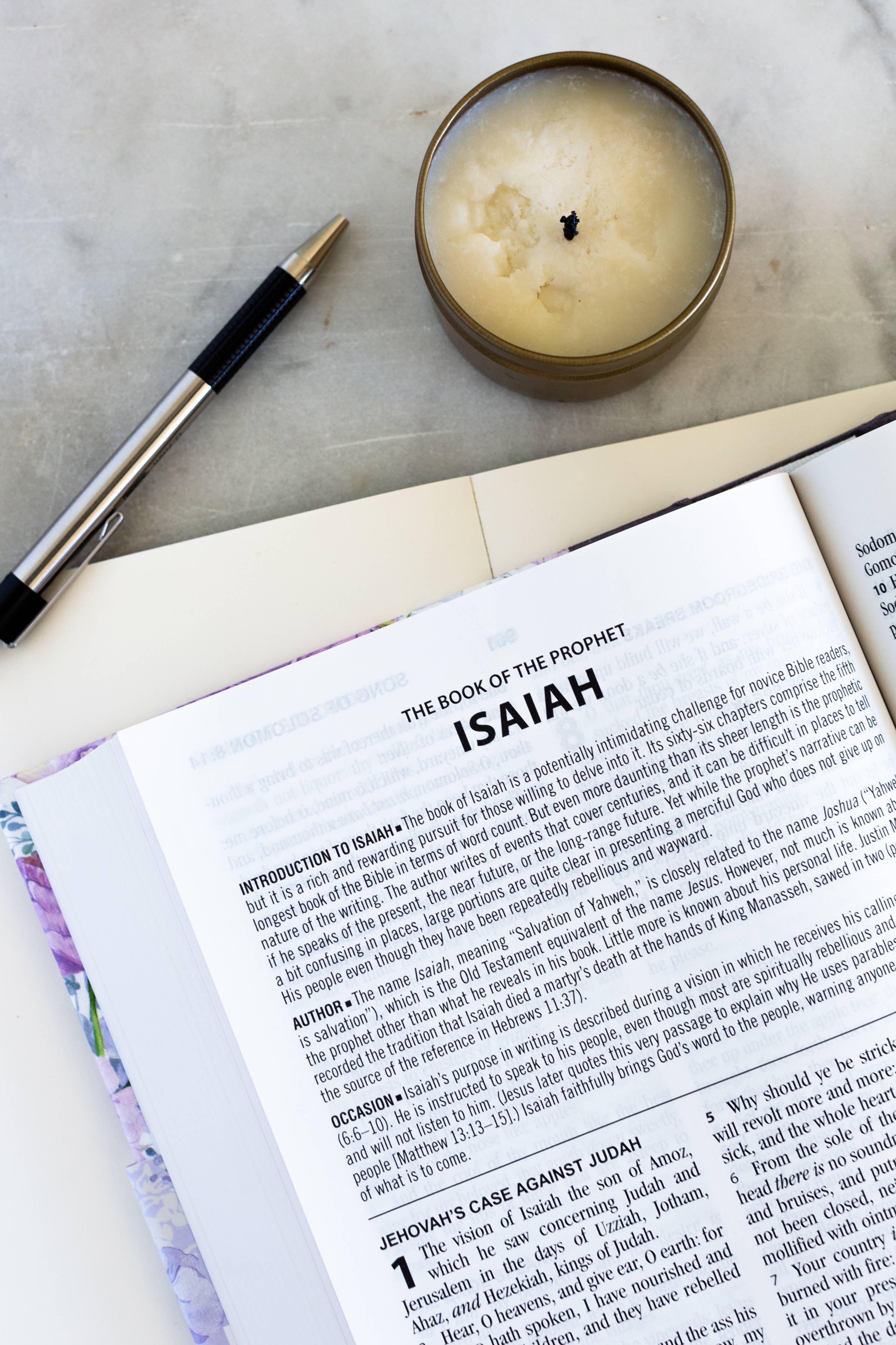 Lilac Study Bible