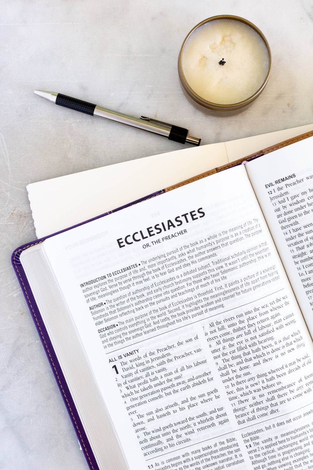 Purple/Tan Study Bible