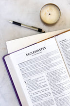 Purple/Tan Study Bible