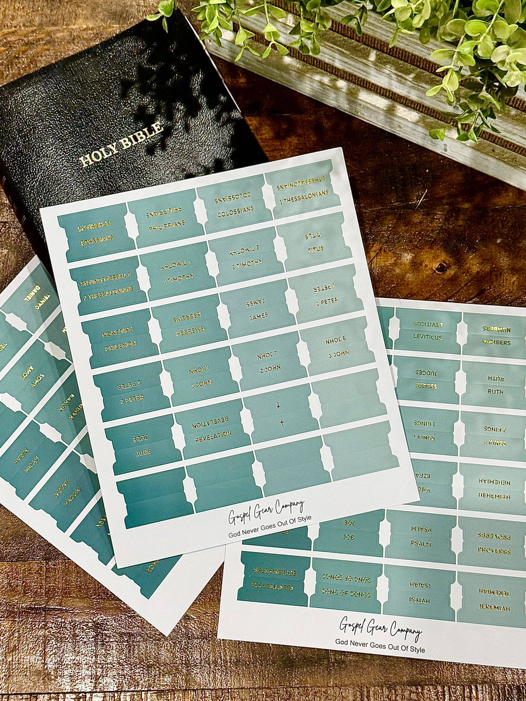 Sea Foam Bible Tabs