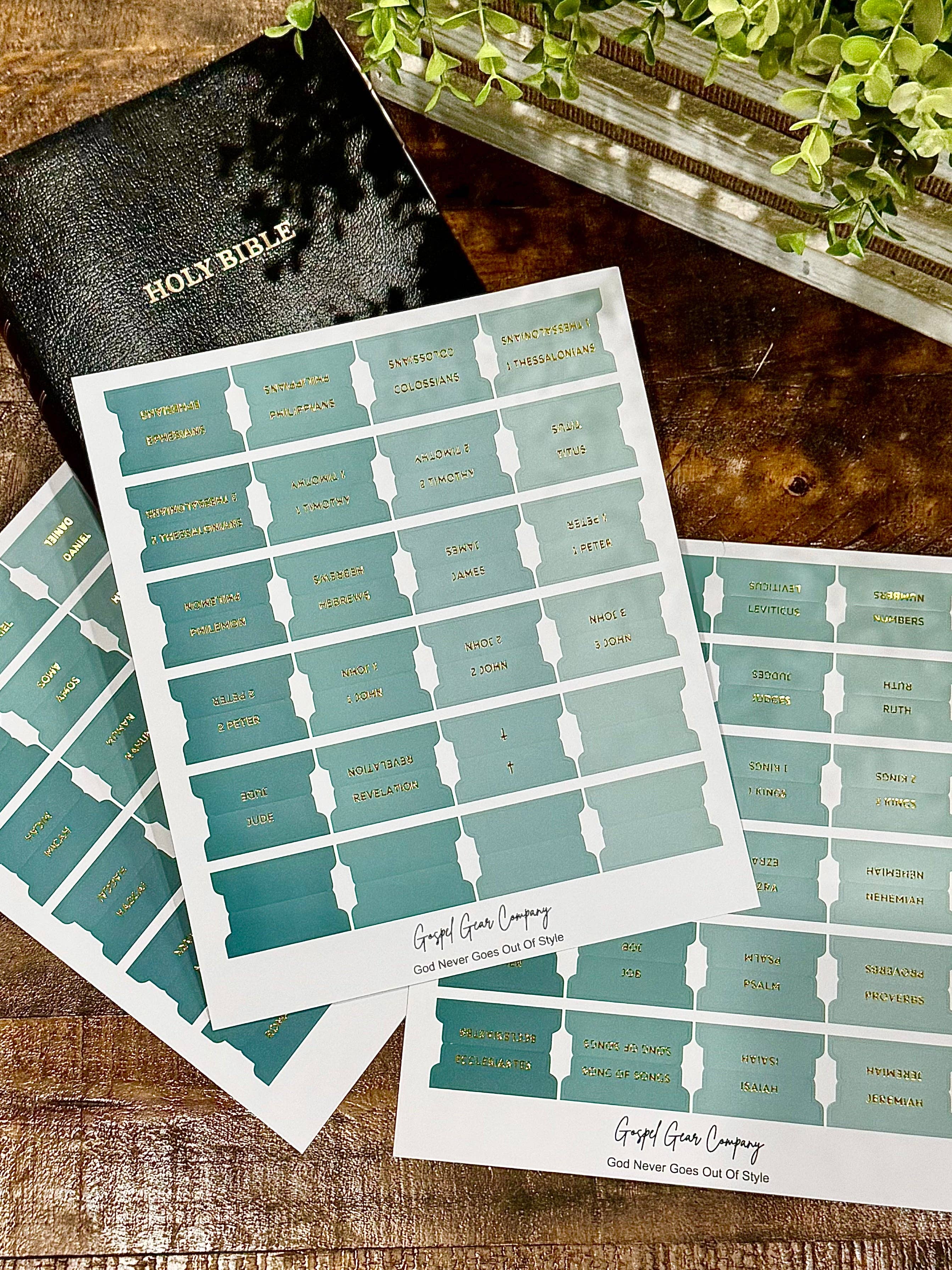 Sea Foam Bible Tabs