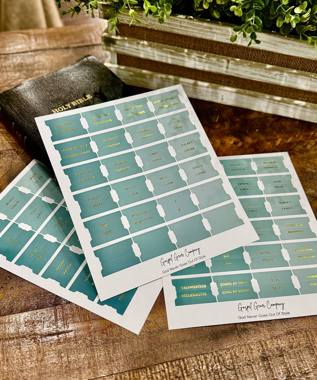 Sea Foam Bible Tabs