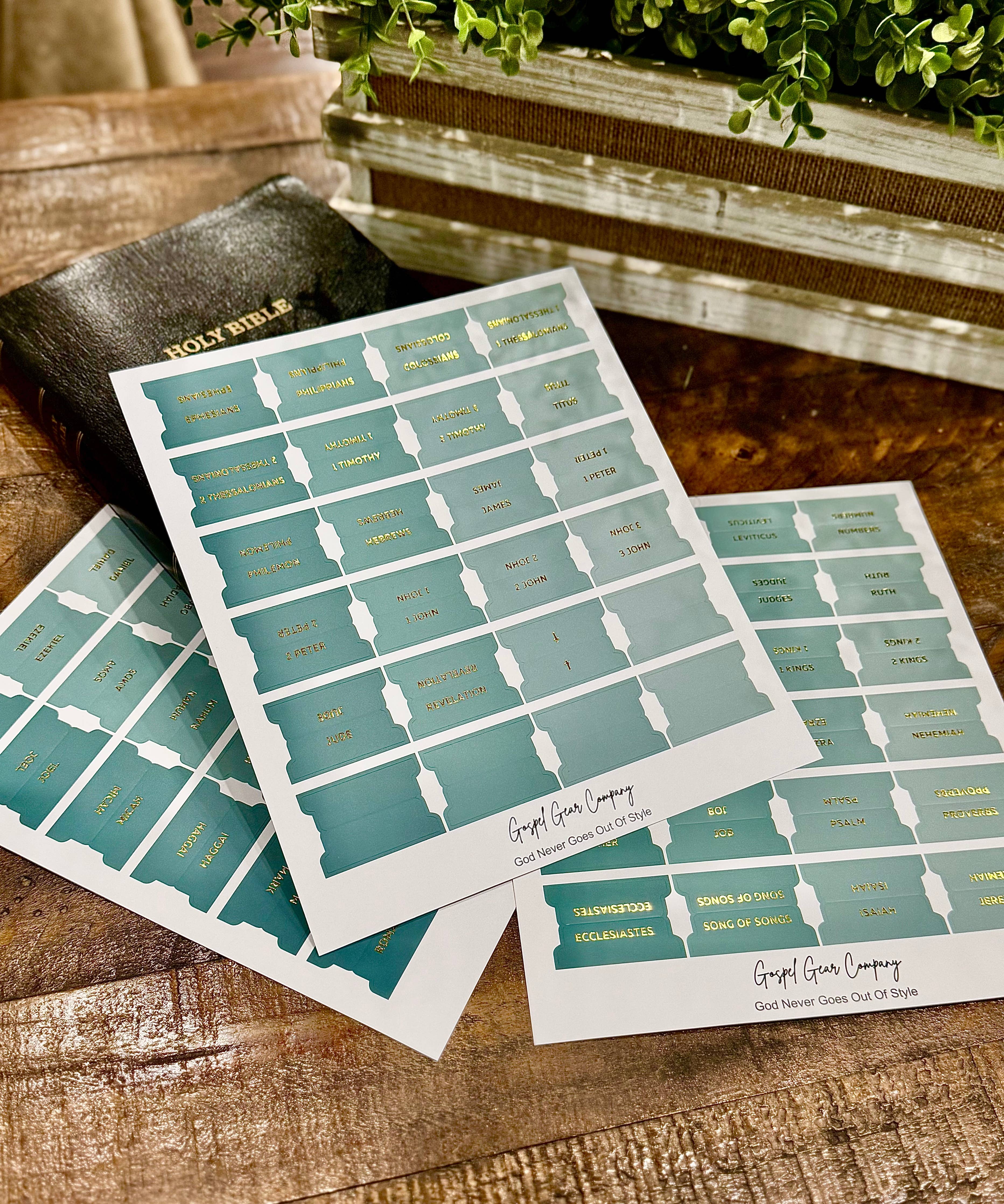 Sea Foam Bible Tabs