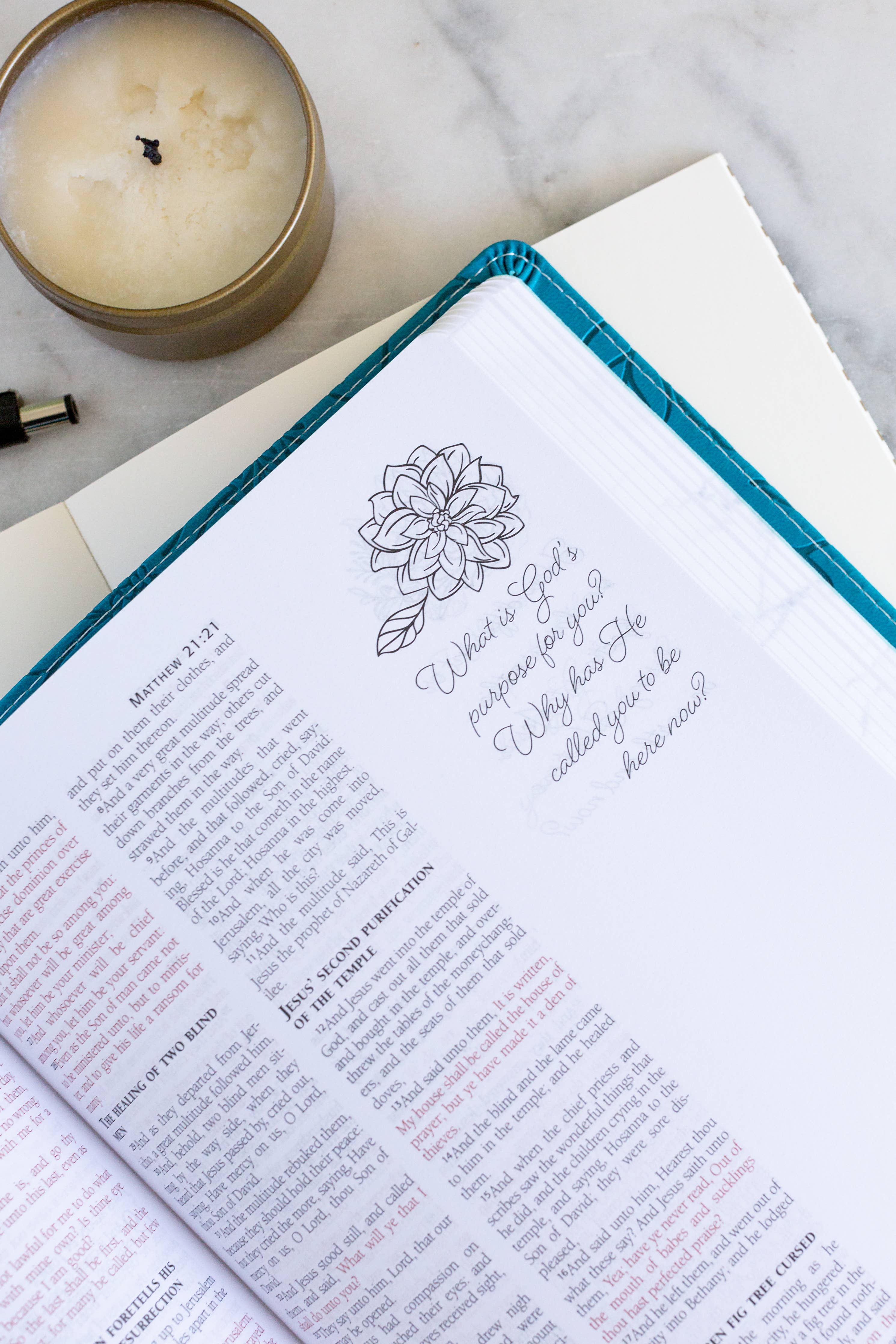 Teal/Tan Personal Reflections Bible