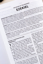 Lilac Study Bible