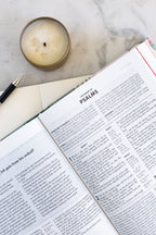 KJV Cross Reference Study Bible—Sage Songbird
