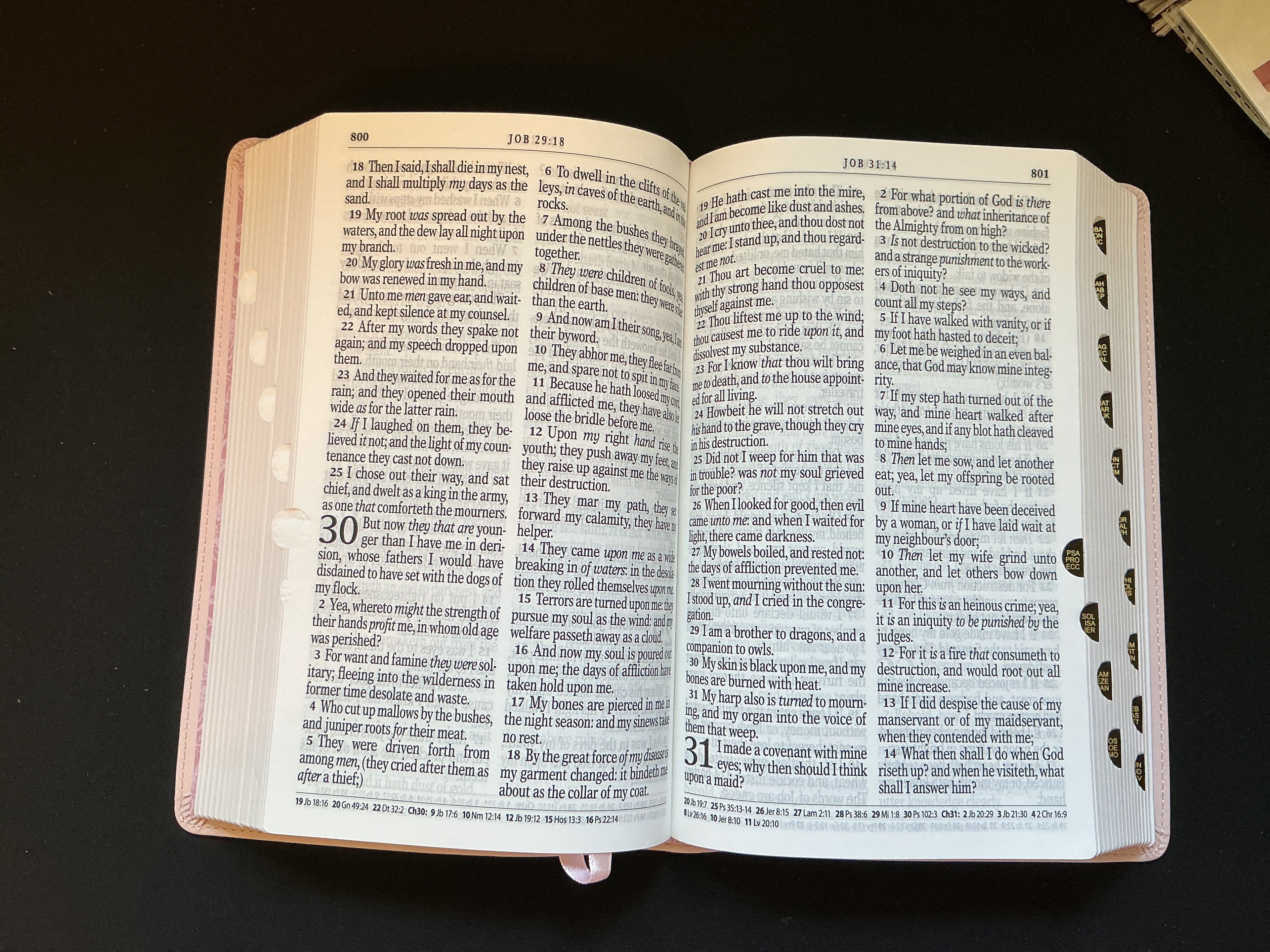 Giant Print Pale Pink KJV Bible