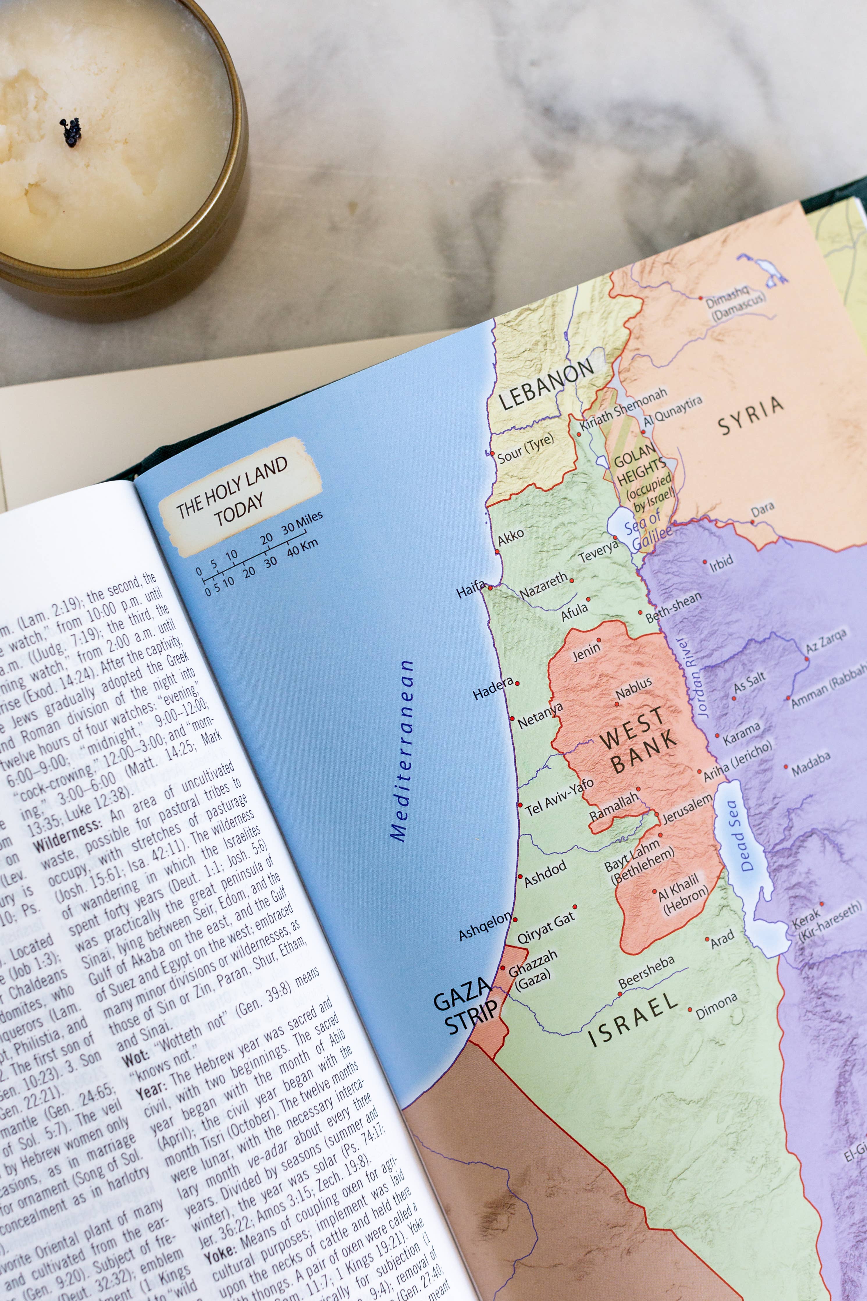 Lilac Study Bible