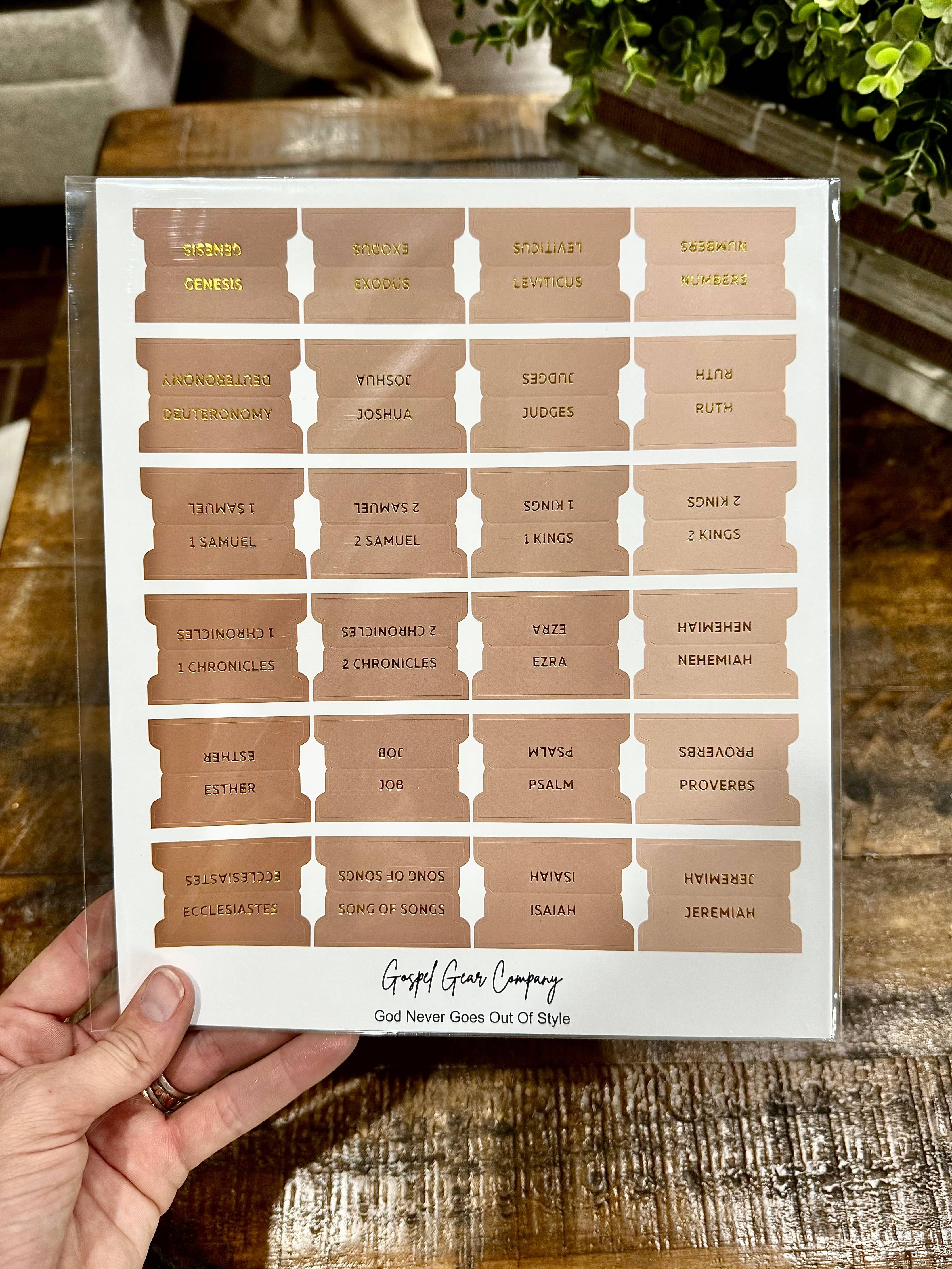 Sand Dune Bible Tabs