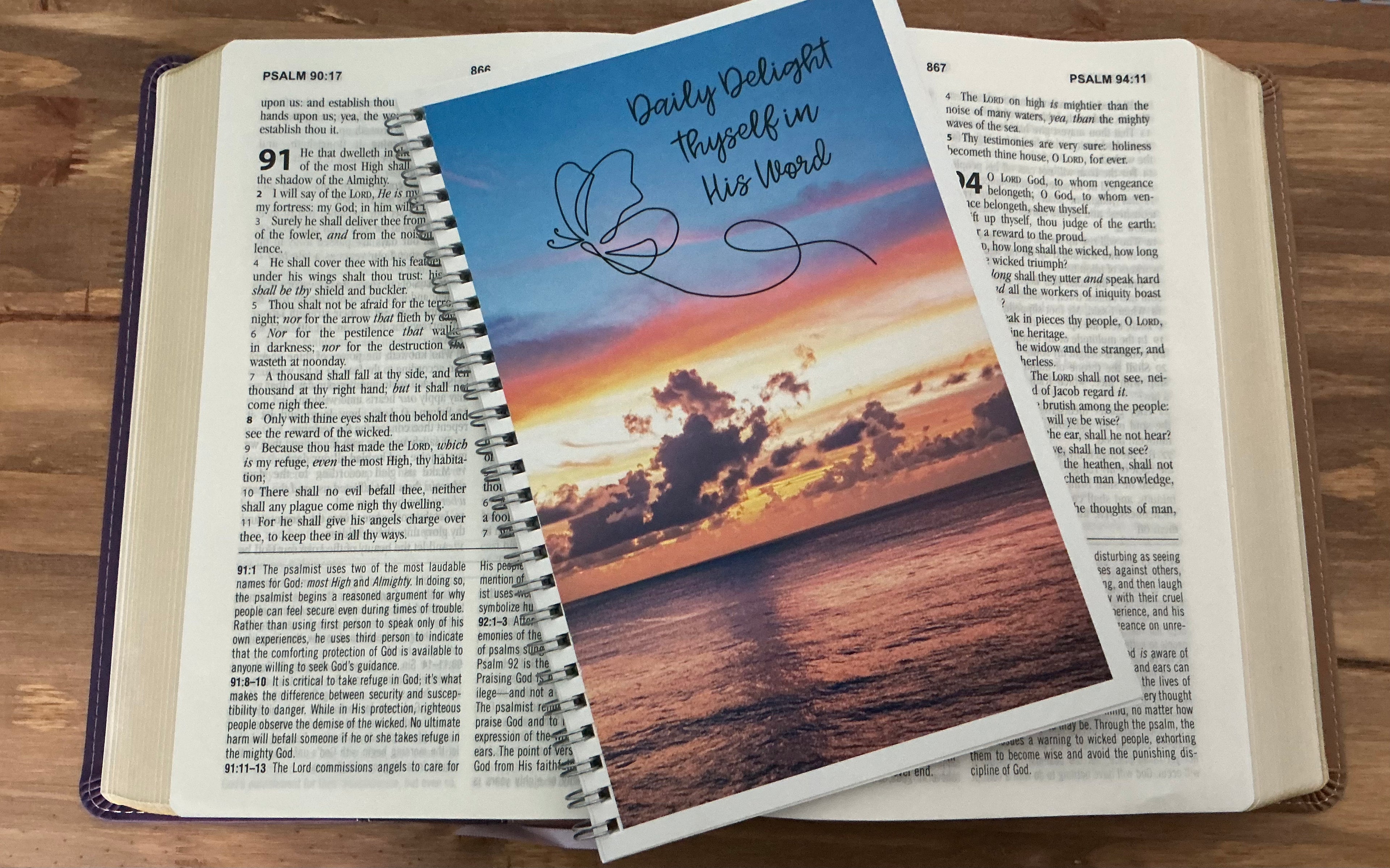 Daily Delight's Scripture Writing Journal