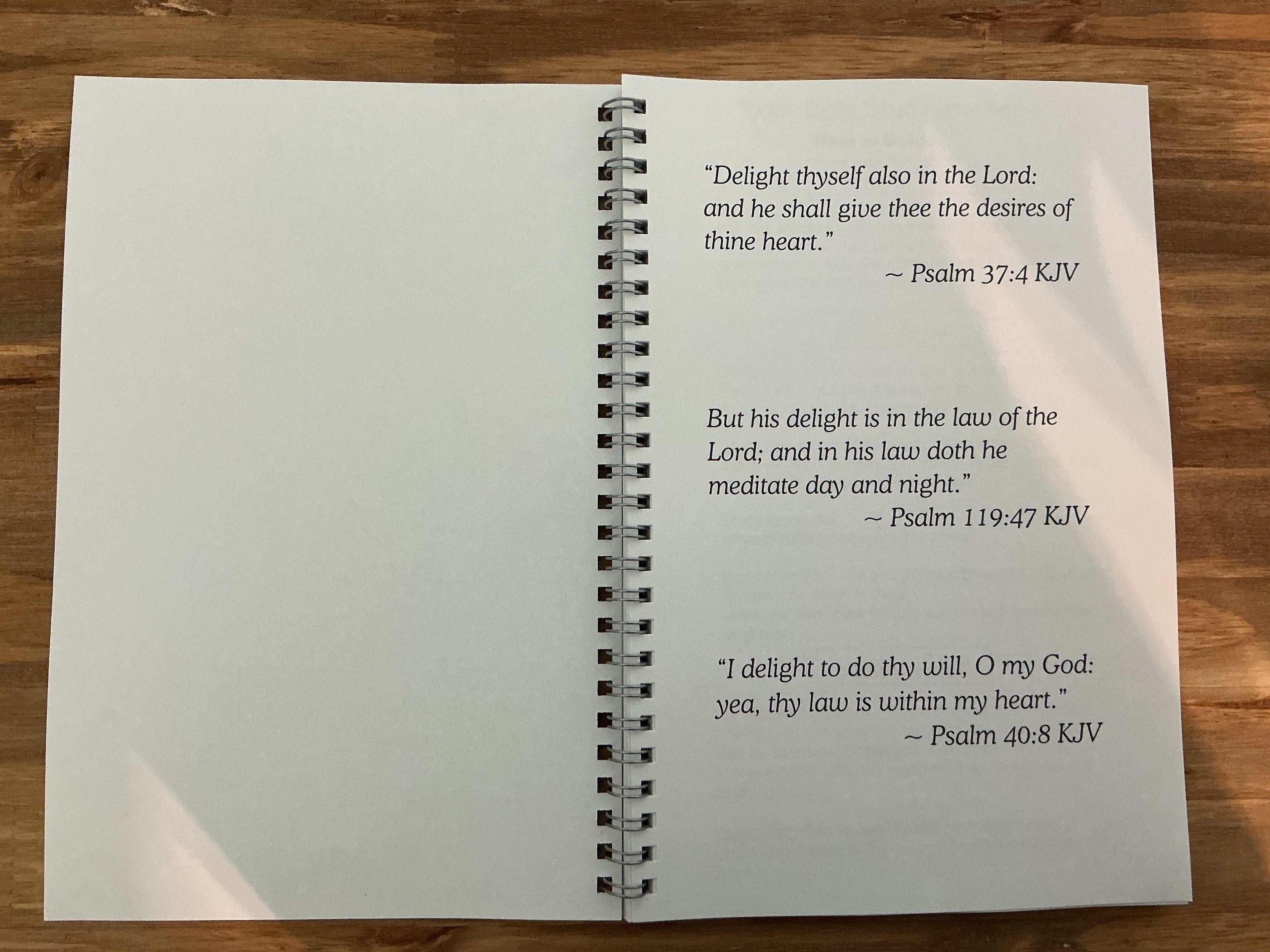 Daily Delight's Bible Study Journal