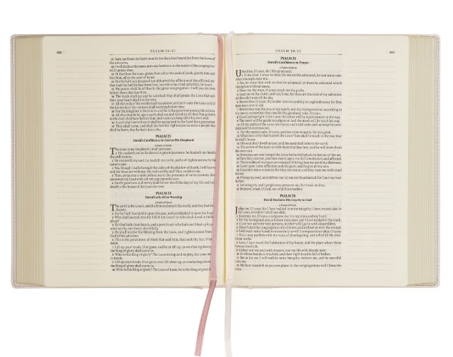Blush Bouquet Hardcover Notetaking Large Print Bible