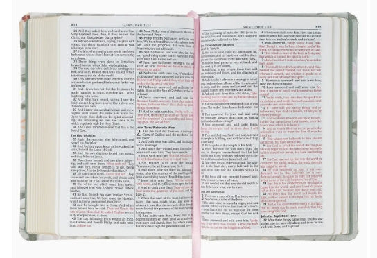 Lichan Gray Compact Bible