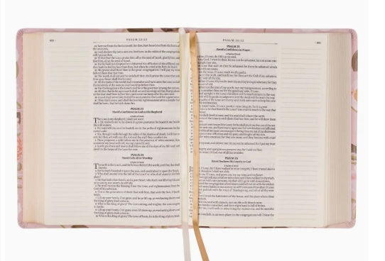 Peach Strength & Honor Note Taking Bible