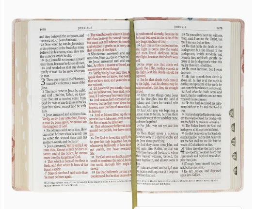 Pink Floral Giant Print Bible