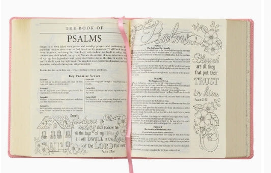 Pink My Promise Bible