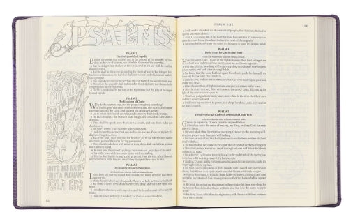Purple My Creative Bible