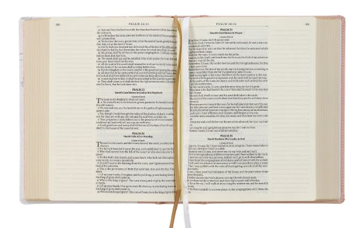 Rosy Coral Floral Note Taking Bible