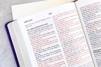 Purple/Tan Study Bible