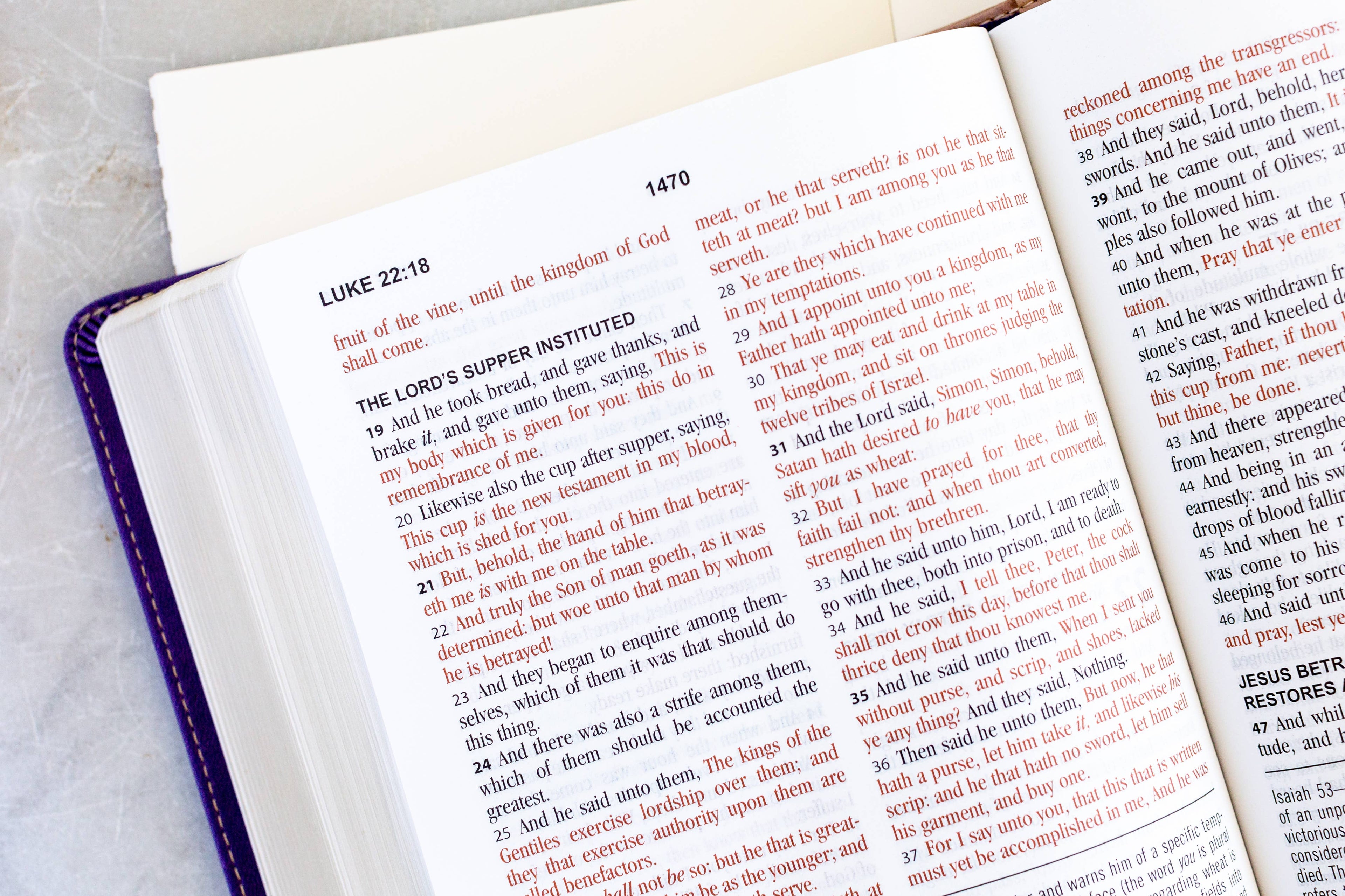 Purple/Tan Study Bible