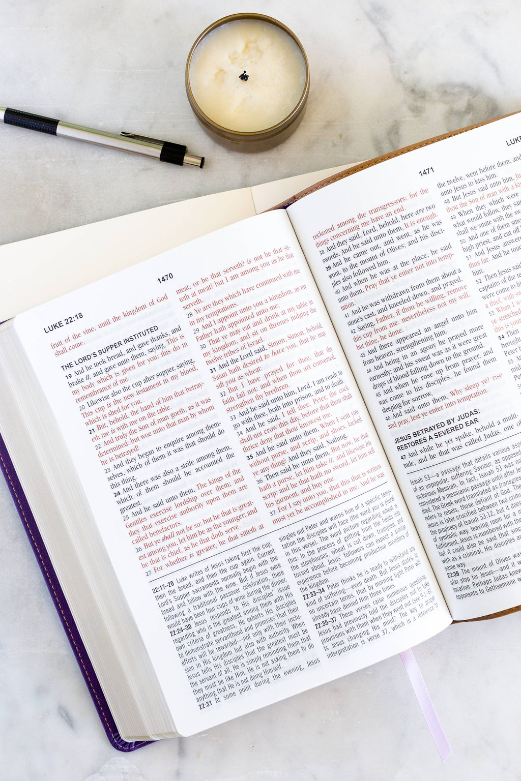Purple/Tan Study Bible
