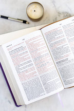 Purple/Tan Study Bible