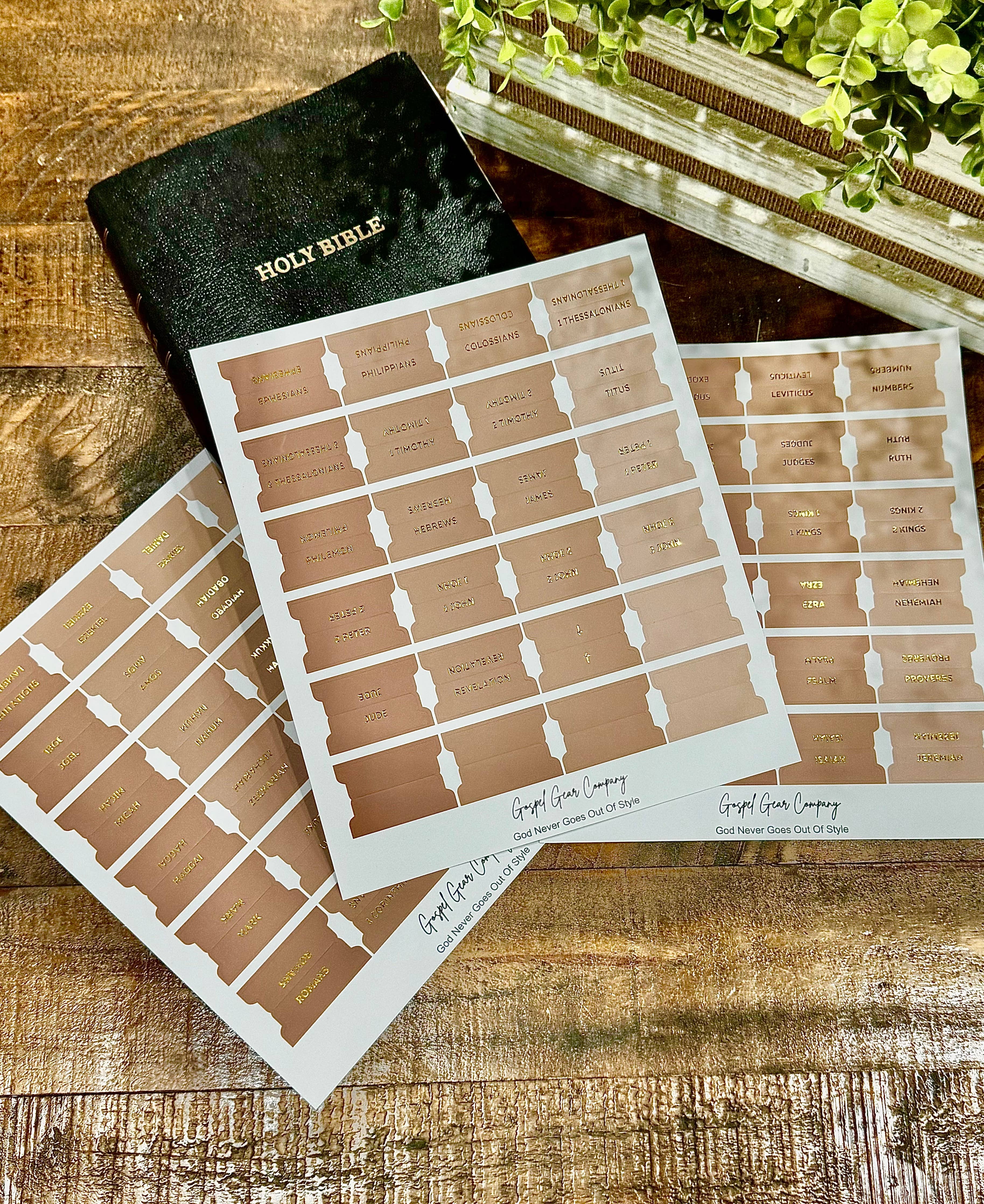 Sand Dune Bible Tabs