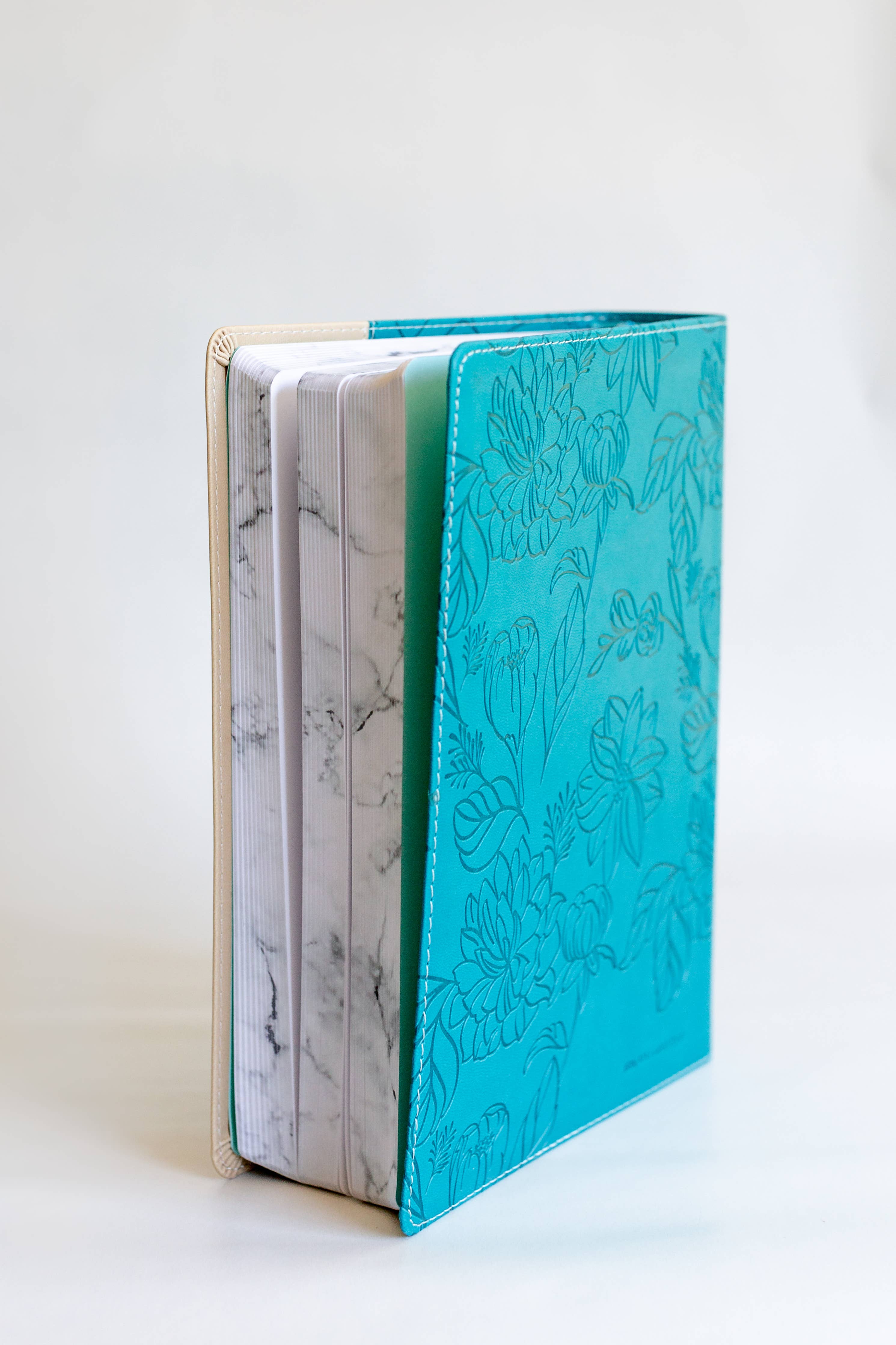 Teal/Tan Personal Reflections Bible