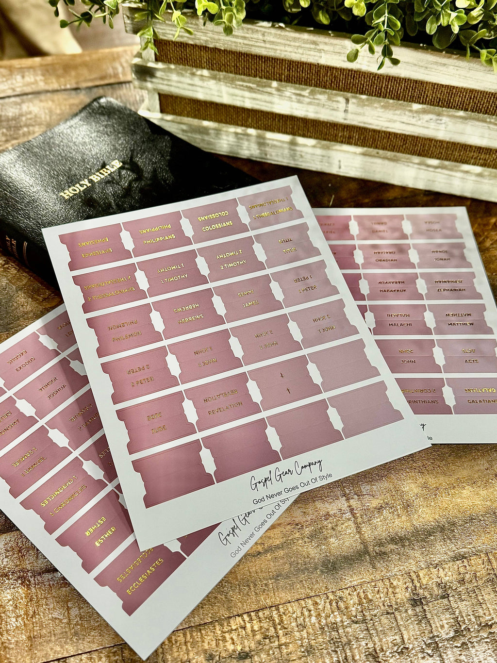Dusty Rose Bible Tabs