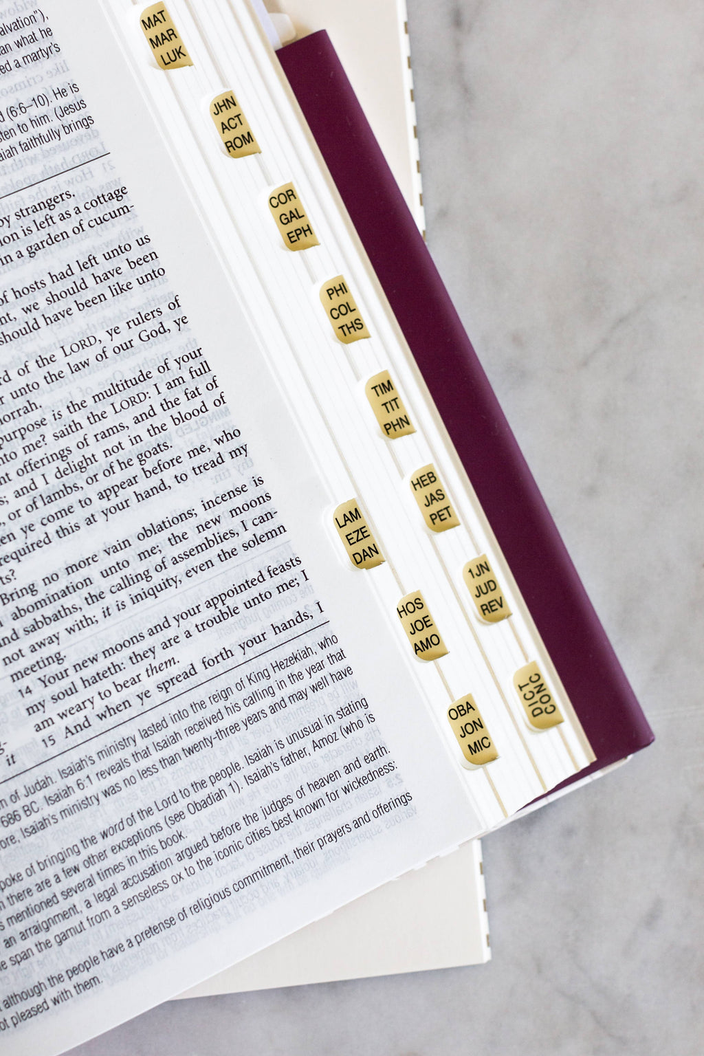 KJV Study Bible: Atlas Edition [Wildflower Bouquet]