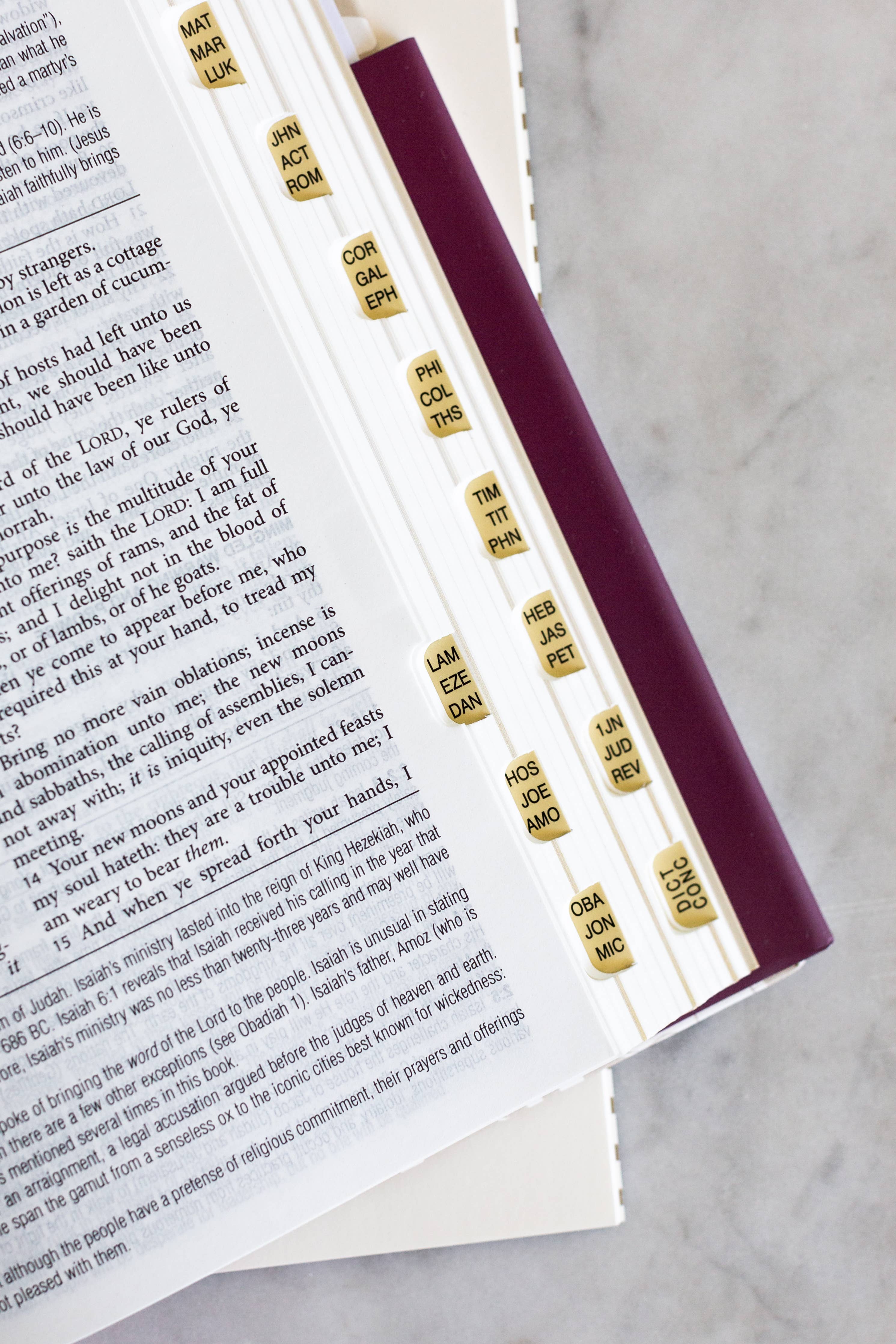 KJV Study Bible: Atlas Edition [Wildflower Bouquet]
