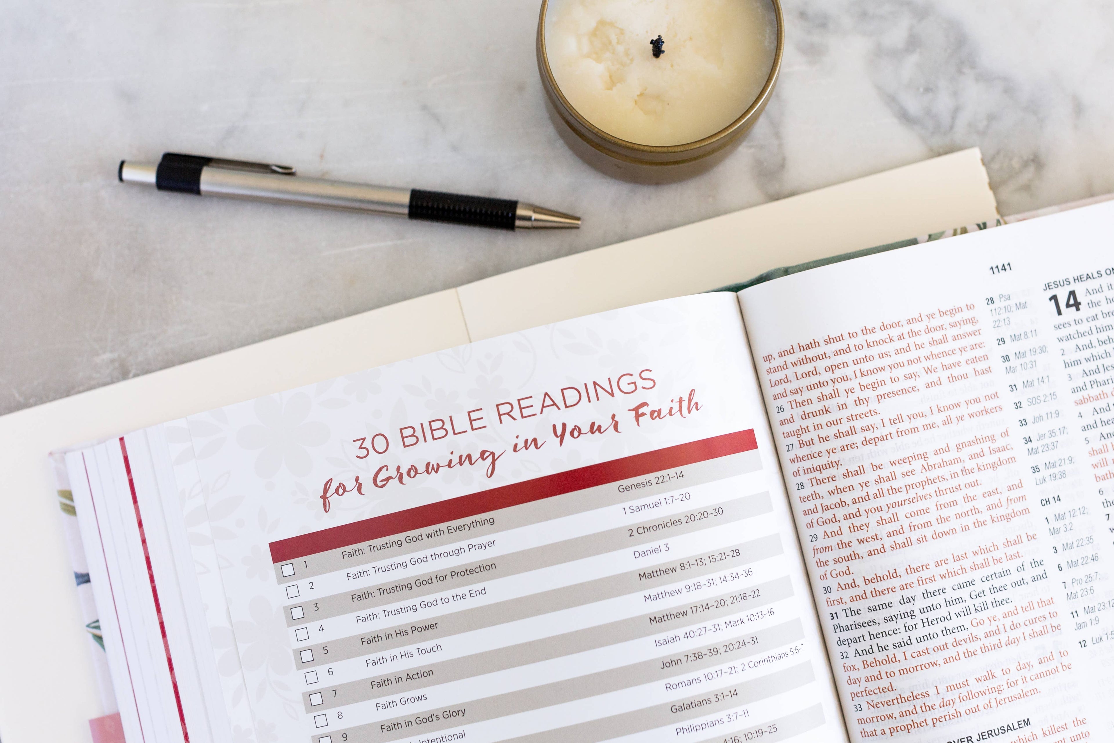 KJV Cross Reference Study Bible—Sage Songbird